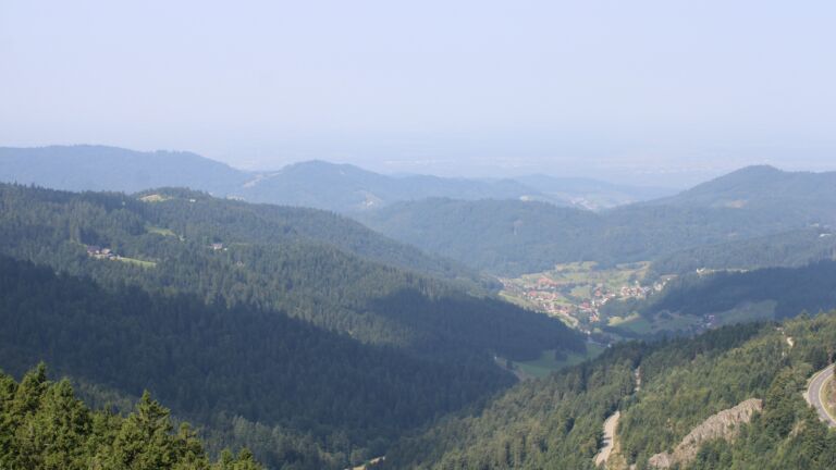 Dieses Bild zeigt eine Webcam-Aufnahme vom Achertal, aufgenommen am Freitag, den 15.08.2025 um 11:20 Uhr. Die Temperatur betrug 28.5°C.
