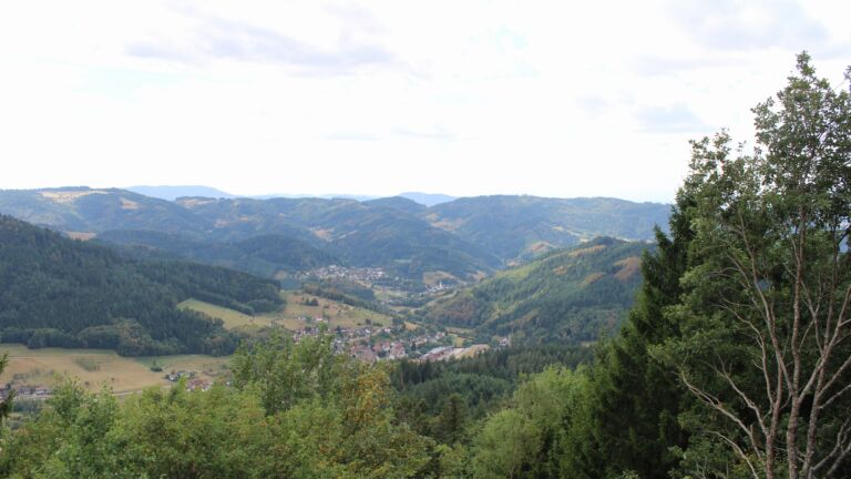 Dieses Bild zeigt eine Webcam-Aufnahme vom Achertal, aufgenommen am Mittwoch, den 19.08.2026 um 13:50 Uhr. Die Temperatur betrug 26.1°C.