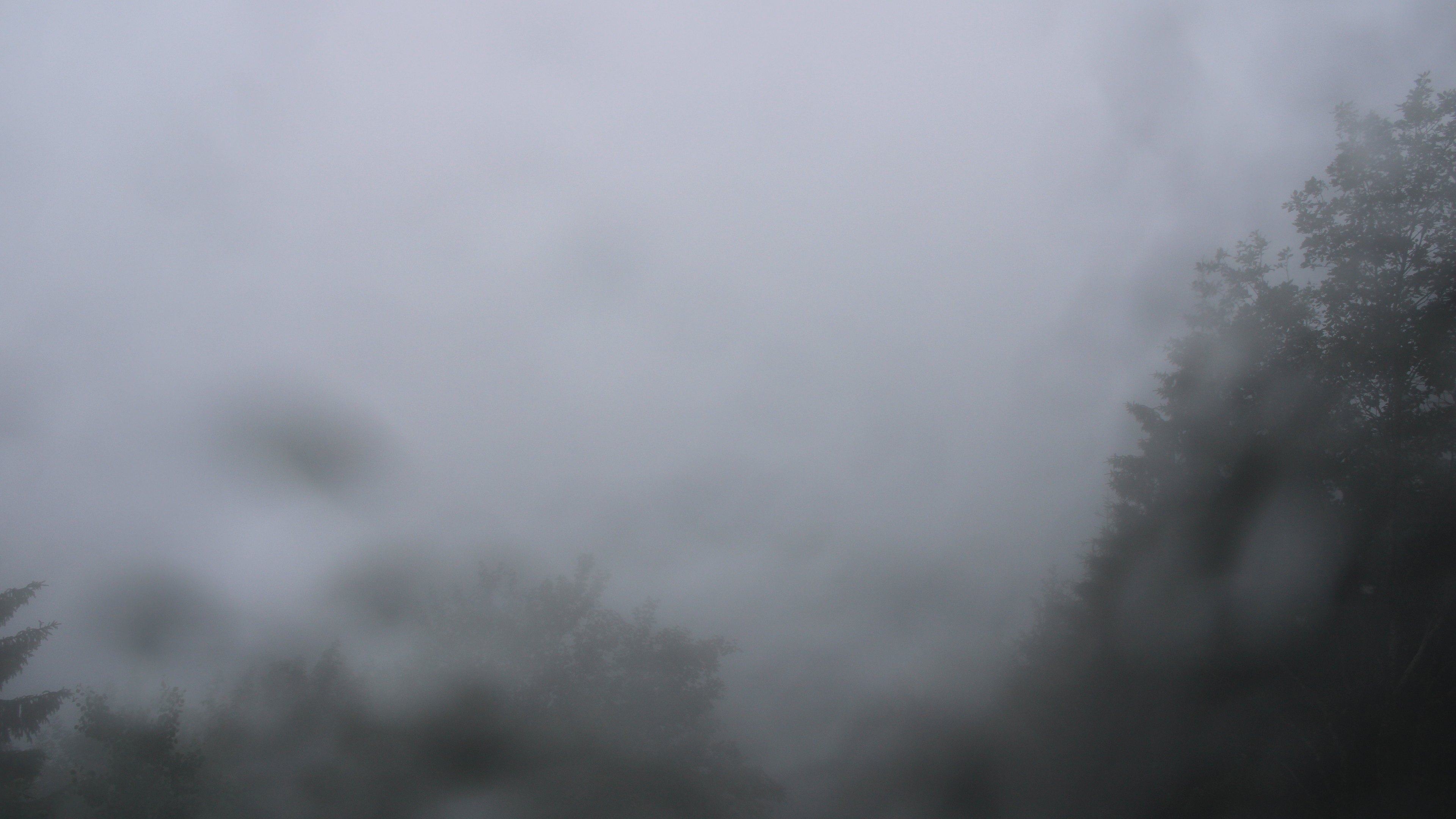 Dieses Bild zeigt eine Webcam-Aufnahme vom Achertal, aufgenommen am Freitag, den 12.06.2026 um 16:20 Uhr. Die Temperatur betrug 11.9°C.