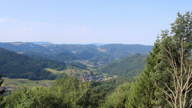 Dieses Bild zeigt eine Webcam-Aufnahme vom Achertal, aufgenommen am Donnerstag, den 16.07.2026 um 09:50 Uhr. Die Temperatur betrug 25.4°C.
