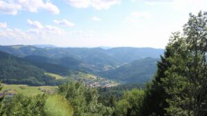 Dieses Bild zeigt eine Webcam-Aufnahme vom Achertal, aufgenommen am Mittwoch, den 08.07.2026 um 17:40 Uhr. Die Temperatur betrug 29°C.