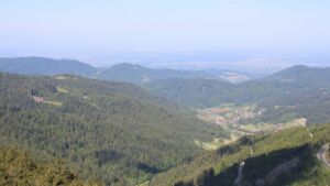 Dieses Bild zeigt eine Webcam-Aufnahme vom Achertal, aufgenommen am Montag, den 19.05.2025 um 09:50 Uhr. Die Temperatur betrug 11.4°C.