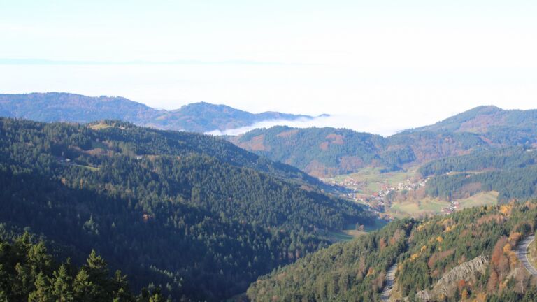 Dieses Bild zeigt eine Webcam-Aufnahme vom Achertal, aufgenommen am Freitag, den 07.11.2025 um 10:30 Uhr. Die Temperatur betrug 11.5°C.