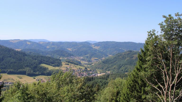 Dieses Bild zeigt eine Webcam-Aufnahme vom Achertal, aufgenommen am Freitag, den 07.08.2026 um 12:10 Uhr. Die Temperatur betrug 24°C.