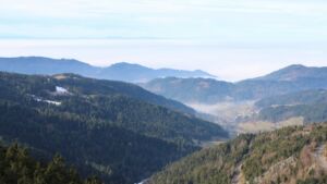 Dieses Bild zeigt eine Webcam-Aufnahme vom Achertal, aufgenommen am Freitag, den 23.01.2026 um 12:10 Uhr. Die Temperatur betrug 7.9°C.