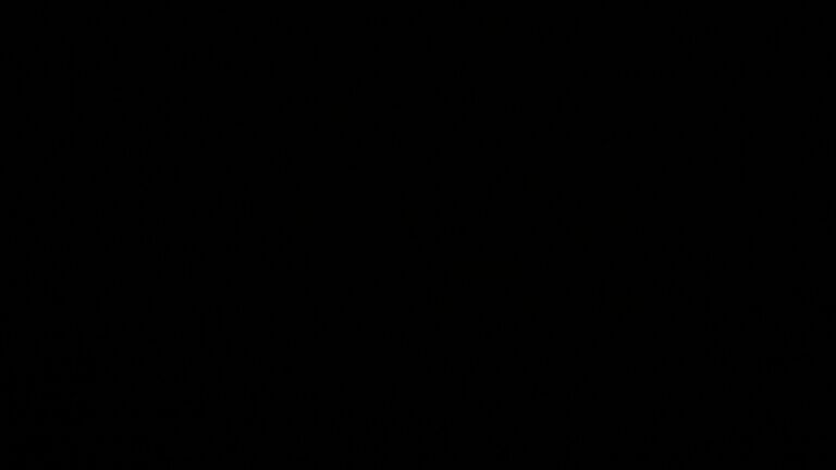 Dieses Bild zeigt eine Webcam-Aufnahme vom Achertal, aufgenommen am Montag, den 11.05.2026 um 00:00 Uhr. Die Temperatur betrug 9.1°C.