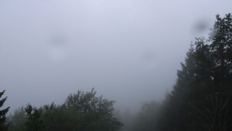 Dieses Bild zeigt eine Webcam-Aufnahme vom Achertal, aufgenommen am Mittwoch, den 01.07.2026 um 08:40 Uhr. Die Temperatur betrug 16.8°C.