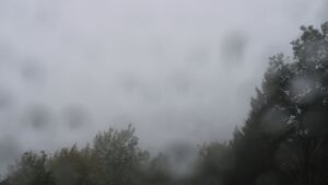 Dieses Bild zeigt eine Webcam-Aufnahme vom Achertal, aufgenommen am Samstag, den 17.10.2026 um 10:30 Uhr. Die Temperatur betrug 10.3°C.
