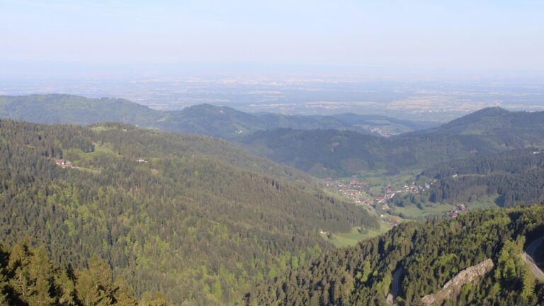 Dieses Bild zeigt eine Webcam-Aufnahme vom Achertal, aufgenommen am Mittwoch, den 29.04.2026 um 08:10 Uhr. Die Temperatur betrug 8.2°C.