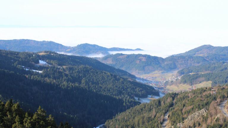 Dieses Bild zeigt eine Webcam-Aufnahme vom Achertal, aufgenommen am Mittwoch, den 21.01.2026 um 11:40 Uhr. Die Temperatur betrug 10.4°C.