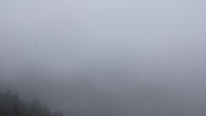 Dieses Bild zeigt eine Webcam-Aufnahme vom Achertal, aufgenommen am Sonntag, den 02.11.2025 um 11:00 Uhr. Die Temperatur betrug 6.1°C.