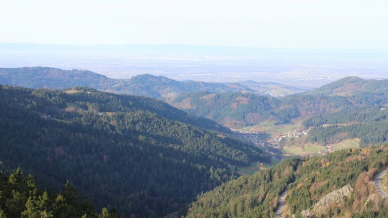 Dieses Bild zeigt eine Webcam-Aufnahme vom Achertal, aufgenommen am Donnerstag, den 13.11.2025 um 10:00 Uhr. Die Temperatur betrug 15.1°C.