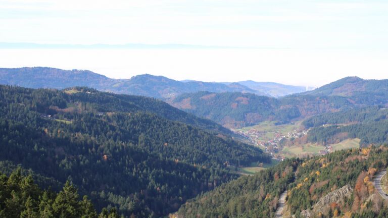 Dieses Bild zeigt eine Webcam-Aufnahme vom Achertal, aufgenommen am Donnerstag, den 06.11.2025 um 11:20 Uhr. Die Temperatur betrug 11.9°C.