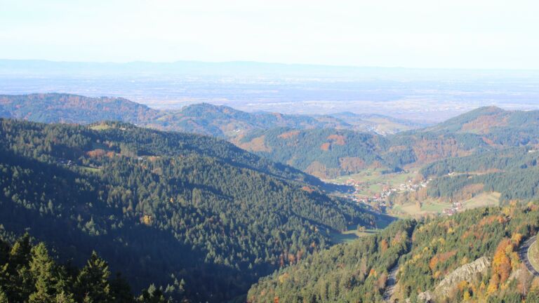 Dieses Bild zeigt eine Webcam-Aufnahme vom Achertal, aufgenommen am Mittwoch, den 29.10.2025 um 09:30 Uhr. Die Temperatur betrug 7.1°C.