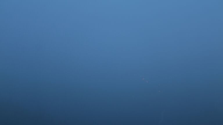 Dieses Bild zeigt eine Webcam-Aufnahme vom Achertal, aufgenommen am Sonntag, den 01.06.2025 um 22:00 Uhr. Die Temperatur betrug 14.7°C.
