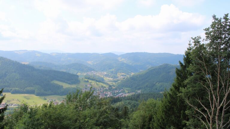 Dieses Bild zeigt eine Webcam-Aufnahme vom Achertal, aufgenommen am Sonntag, den 19.07.2026 um 12:10 Uhr. Die Temperatur betrug 17.7°C.