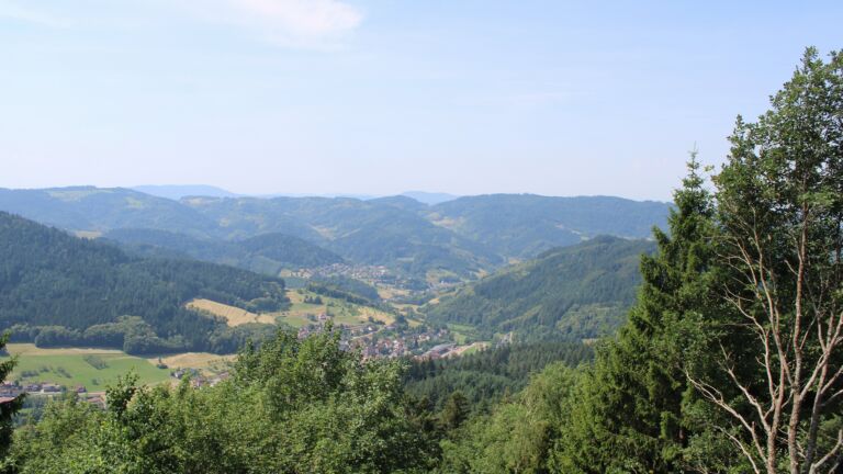 Dieses Bild zeigt eine Webcam-Aufnahme vom Achertal, aufgenommen am Freitag, den 26.06.2026 um 12:00 Uhr. Die Temperatur betrug 32.8°C.