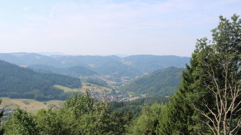 Dieses Bild zeigt eine Webcam-Aufnahme vom Achertal, aufgenommen am Freitag, den 31.07.2026 um 11:50 Uhr. Die Temperatur betrug 29.5°C.