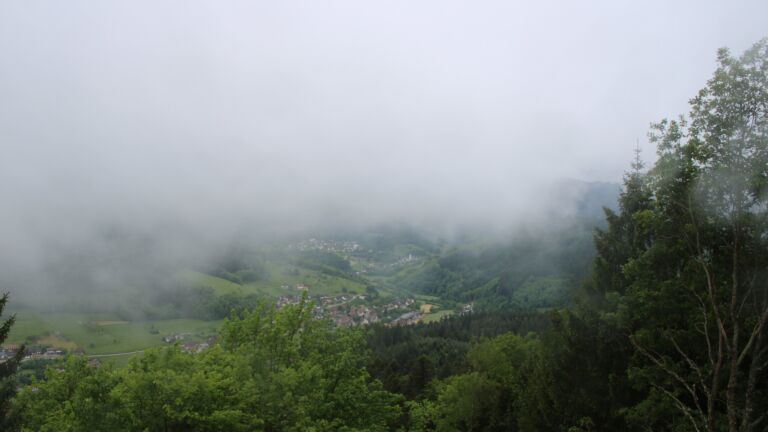 Dieses Bild zeigt eine Webcam-Aufnahme vom Achertal, aufgenommen am Freitag, den 15.05.2026 um 08:30 Uhr. Die Temperatur betrug 3.6°C.
