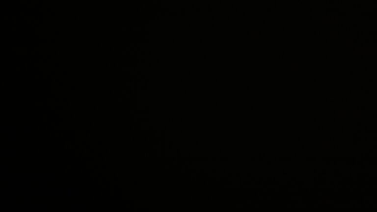 Dieses Bild zeigt eine Webcam-Aufnahme vom Achertal, aufgenommen am Donnerstag, den 30.10.2025 um 04:30 Uhr. Die Temperatur betrug 7.9°C.