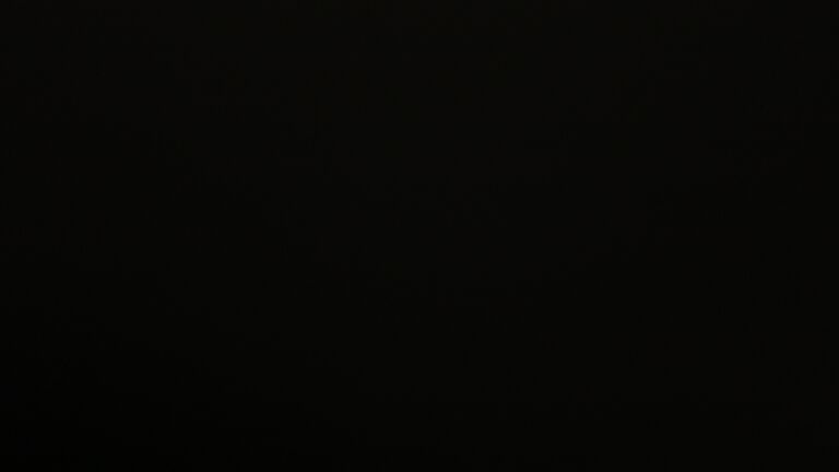 Dieses Bild zeigt eine Webcam-Aufnahme vom Achertal, aufgenommen am Freitag, den 28.11.2025 um 23:00 Uhr. Die Temperatur betrug 3.2°C.