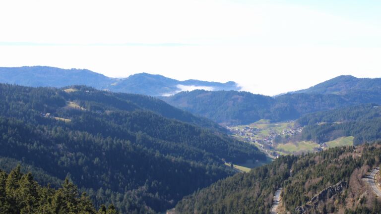 Dieses Bild zeigt eine Webcam-Aufnahme vom Achertal, aufgenommen am Mittwoch, den 25.02.2026 um 14:40 Uhr. Die Temperatur betrug 14.1°C.