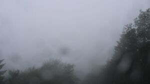 Dieses Bild zeigt eine Webcam-Aufnahme vom Achertal, aufgenommen am Freitag, den 12.06.2026 um 14:20 Uhr. Die Temperatur betrug 11.7°C.