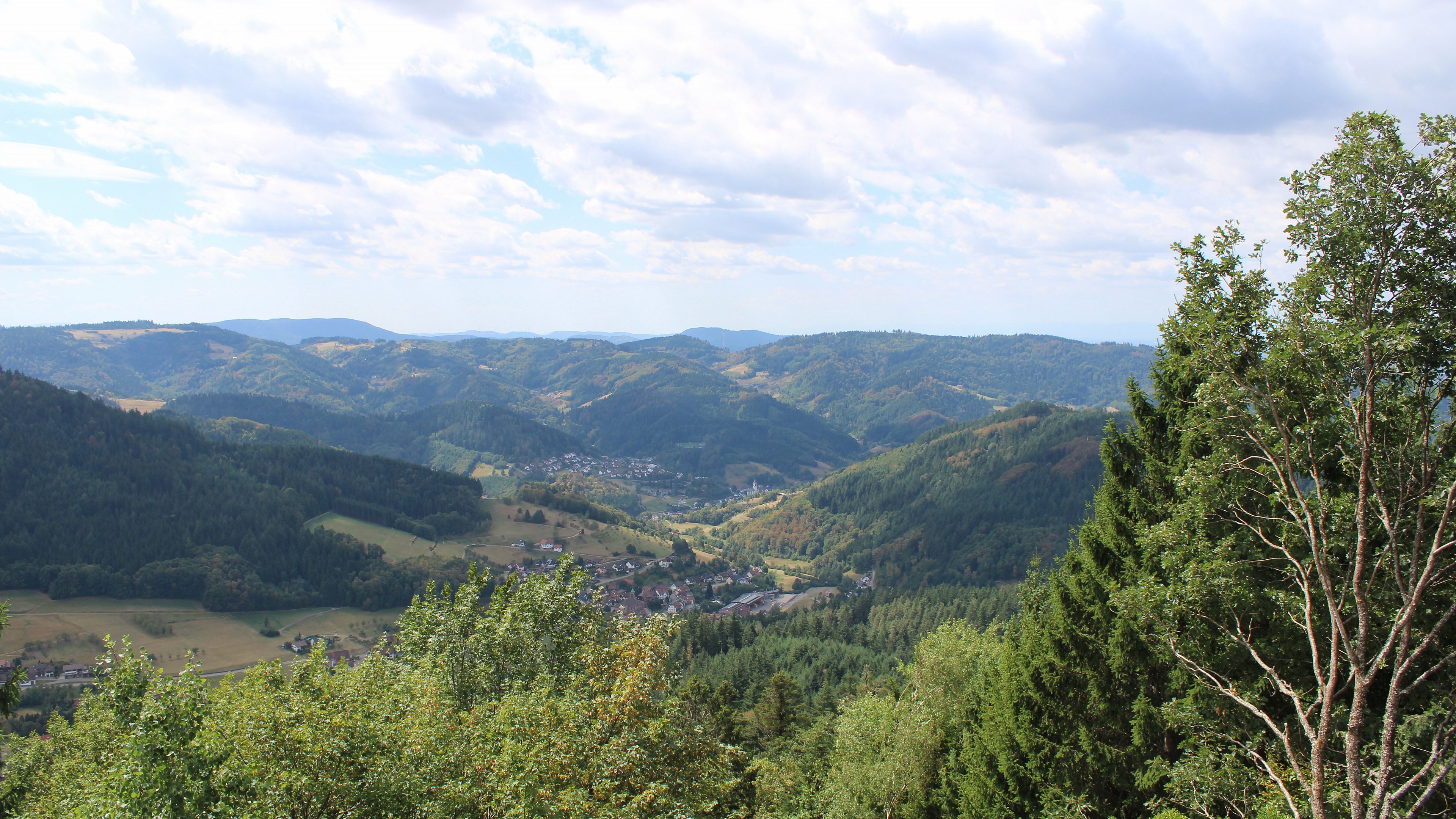 Zum Fotoarchiv vom Mittwoch, 19. August 2026