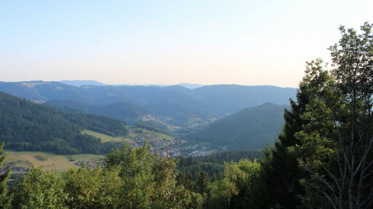 Dieses Bild zeigt eine Webcam-Aufnahme vom Achertal, aufgenommen am Samstag, den 01.08.2026 um 19:30 Uhr. Die Temperatur betrug 26.2°C.