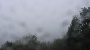Dieses Bild zeigt eine Webcam-Aufnahme vom Achertal, aufgenommen am Donnerstag, den 08.10.2026 um 13:20 Uhr. Die Temperatur betrug 10.2°C.