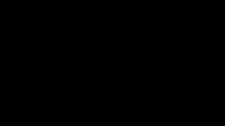 Dieses Bild zeigt eine Webcam-Aufnahme vom Achertal, aufgenommen am Montag, den 11.05.2026 um 01:30 Uhr. Die Temperatur betrug 9.1°C.