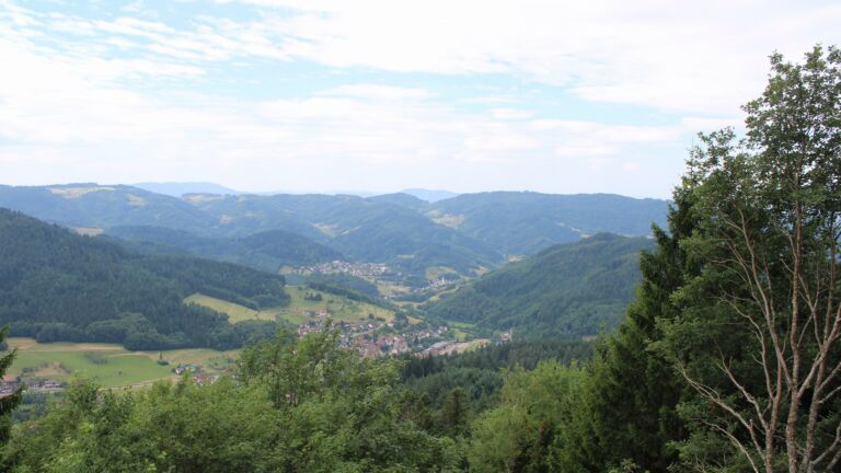 Dieses Bild zeigt eine Webcam-Aufnahme vom Achertal, aufgenommen am Mittwoch, den 08.07.2026 um 11:40 Uhr. Die Temperatur betrug 23.1°C.
