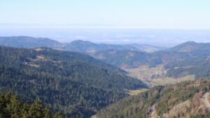 Dieses Bild zeigt eine Webcam-Aufnahme vom Achertal, aufgenommen am Donnerstag, den 26.02.2026 um 11:10 Uhr. Die Temperatur betrug 13.2°C.