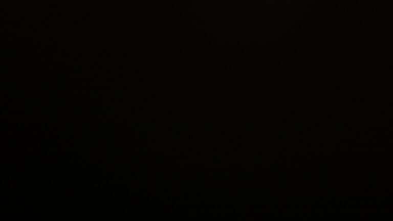 Dieses Bild zeigt eine Webcam-Aufnahme vom Achertal, aufgenommen am Montag, den 01.09.2025 um 03:30 Uhr. Die Temperatur betrug 11.3°C.