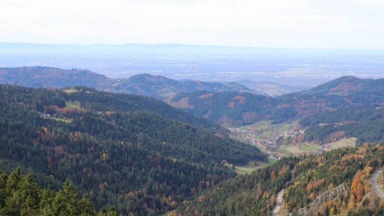 Dieses Bild zeigt eine Webcam-Aufnahme vom Achertal, aufgenommen am Mittwoch, den 29.10.2025 um 12:20 Uhr. Die Temperatur betrug 12.1°C.