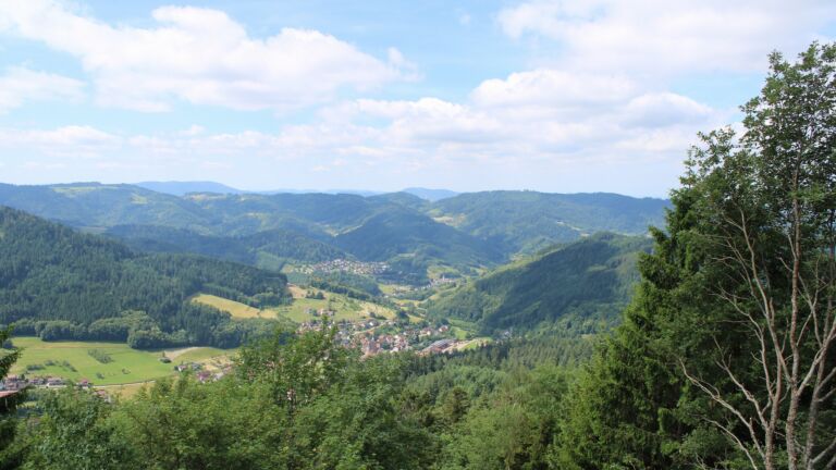 Dieses Bild zeigt eine Webcam-Aufnahme vom Achertal, aufgenommen am Montag, den 15.06.2026 um 11:10 Uhr. Die Temperatur betrug 15.2°C.