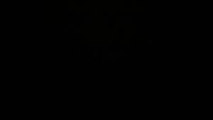 Dieses Bild zeigt eine Webcam-Aufnahme vom Achertal, aufgenommen am Samstag, den 29.11.2025 um 03:30 Uhr. Die Temperatur betrug 3.6°C.