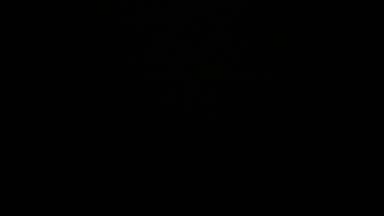 Dieses Bild zeigt eine Webcam-Aufnahme vom Achertal, aufgenommen am Samstag, den 29.11.2025 um 03:30 Uhr. Die Temperatur betrug 3.6°C.