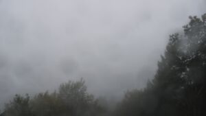 Dieses Bild zeigt eine Webcam-Aufnahme vom Achertal, aufgenommen am Samstag, den 17.10.2026 um 09:20 Uhr. Die Temperatur betrug 10.9°C.