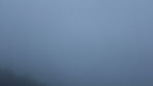 Dieses Bild zeigt eine Webcam-Aufnahme vom Achertal, aufgenommen am Mittwoch, den 11.02.2026 um 17:00 Uhr. Die Temperatur betrug 4.2°C.