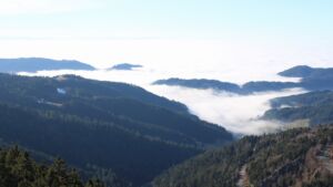 Dieses Bild zeigt eine Webcam-Aufnahme vom Achertal, aufgenommen am Sonntag, den 08.02.2026 um 15:20 Uhr. Die Temperatur betrug 4.1°C.