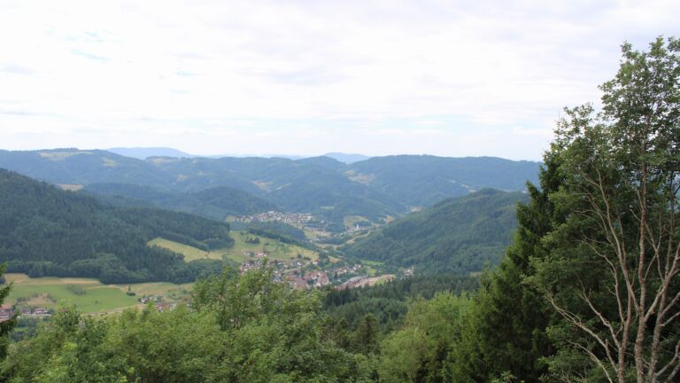 Dieses Bild zeigt eine Webcam-Aufnahme vom Achertal, aufgenommen am Mittwoch, den 08.07.2026 um 12:50 Uhr. Die Temperatur betrug 23.8°C.