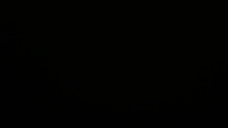 Dieses Bild zeigt eine Webcam-Aufnahme vom Achertal, aufgenommen am Sonntag, den 04.05.2025 um 01:30 Uhr. Die Temperatur betrug 9.5°C.