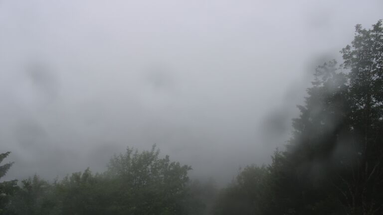 Dieses Bild zeigt eine Webcam-Aufnahme vom Achertal, aufgenommen am Freitag, den 12.06.2026 um 11:10 Uhr. Die Temperatur betrug 10°C.