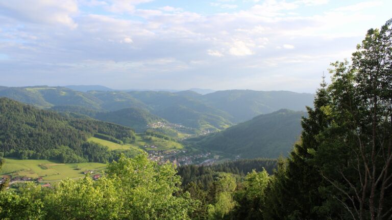 Dieses Bild zeigt eine Webcam-Aufnahme vom Achertal, aufgenommen am Mittwoch, den 20.05.2026 um 19:40 Uhr. Die Temperatur betrug 14.5°C.