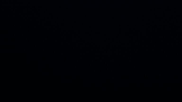 Dieses Bild zeigt eine Webcam-Aufnahme vom Achertal, aufgenommen am Montag, den 24.11.2025 um 06:50 Uhr. Die Temperatur betrug 1.2°C.