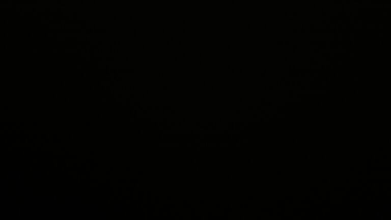 Dieses Bild zeigt eine Webcam-Aufnahme vom Achertal, aufgenommen am Donnerstag, den 21.08.2025 um 04:00 Uhr. Die Temperatur betrug 12.9°C.