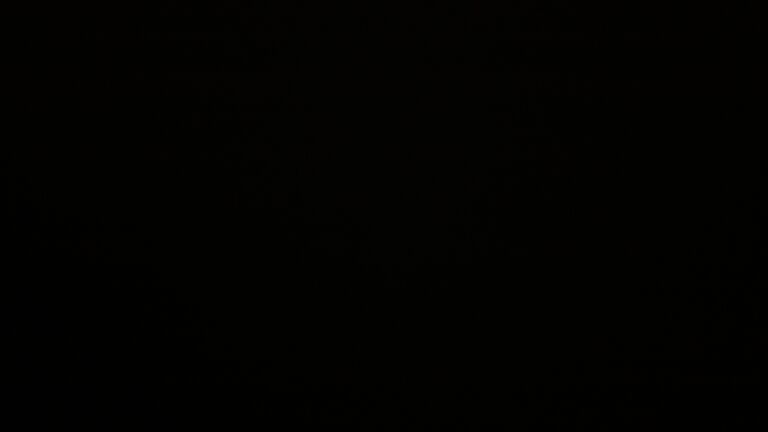 Dieses Bild zeigt eine Webcam-Aufnahme vom Achertal, aufgenommen am Mittwoch, den 19.11.2025 um 23:00 Uhr. Die Temperatur betrug -2°C.