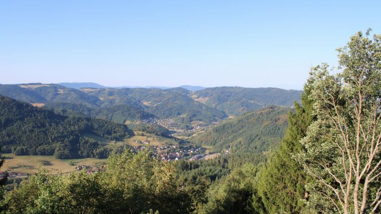 Dieses Bild zeigt eine Webcam-Aufnahme vom Achertal, aufgenommen am Freitag, den 14.08.2026 um 08:40 Uhr. Die Temperatur betrug 29°C.