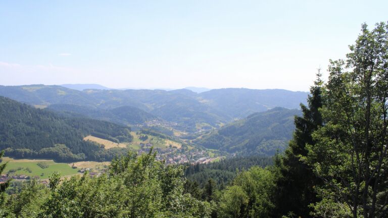 Dieses Bild zeigt eine Webcam-Aufnahme vom Achertal, aufgenommen am Donnerstag, den 25.06.2026 um 16:30 Uhr. Die Temperatur betrug 36°C.